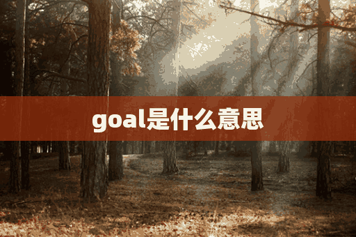 goal是什么意思(goal是什么意思中文)